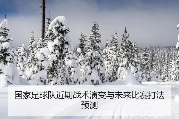 guo-jia-zu-qiu-dui-jin-qi-zhan-shu-yan-bian-yu-wei-lai-bi-sai-da-fa-yu-ce-3-351.jpg