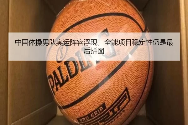 中国体操男队奥运阵容浮现，全能项目稳定性仍是最后拼图